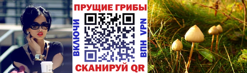 OMG рабочий сайт Балахна Псилоцибиновые грибы ЛСД