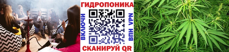 Бошки Шишки индика mega как войти Балахна